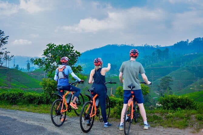Tea Loops E-Biking - Rolling through the tea estates