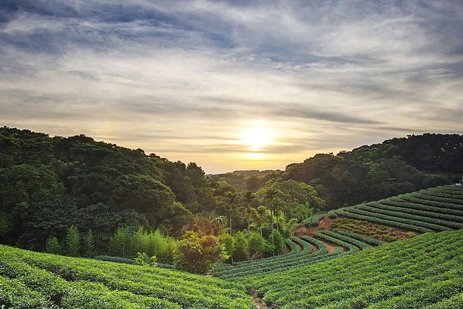 Tea of Taipei: Small-Group Tour with Taipei City Sightseeing - Key points to know before booking