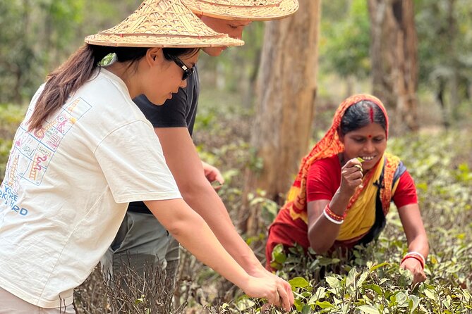 Tea Plantation and Rainforest Tour with Tribal Life in Sreemangal - Key Things to Know Before You Go