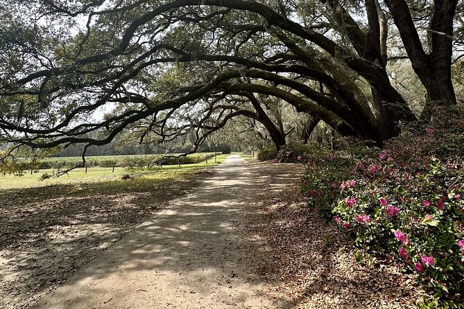 Tea Plantation and Winery Tour in Charleston - Why this Charleston day trip works
