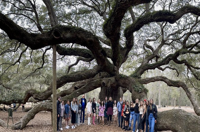 Tea Plantation and Winery Tour in Charleston - What the tour costs beyond the base booking