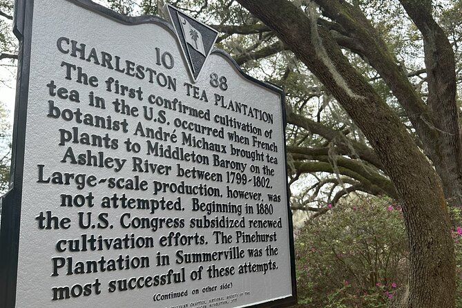 Tea Plantation and Winery Tour in Charleston - Charleston Tea Garden: factory tour and unlimited tea