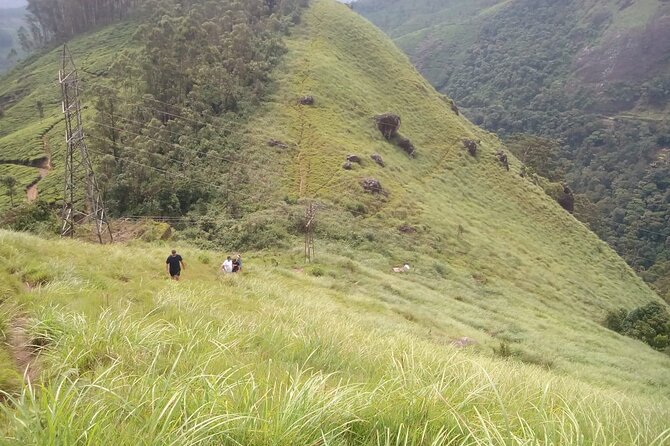 Tea Plantation, Grass Land and Mountain Hiking in Munnar - Why this short Munnar hike is worth your morning