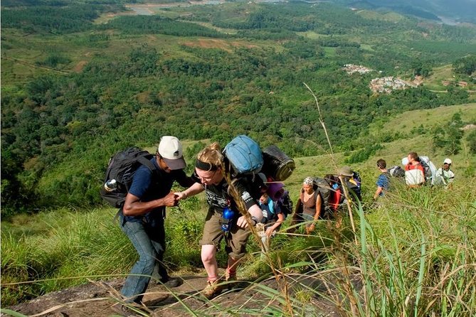 Tea plantation walk and stay in valley view Room (By Munnar Info) - A two-day Munnar plan with a clear sense of place