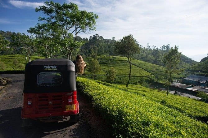 Tea Tasting in Nuwara Eliya - Why this short Nuwara Eliya tour works