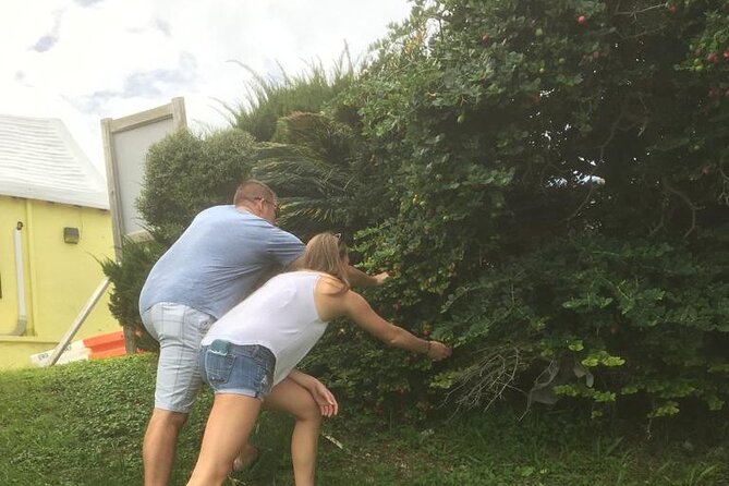 The Bermuda Tea and Tales Experience - Walking through Flatts Village for herbs and flowers