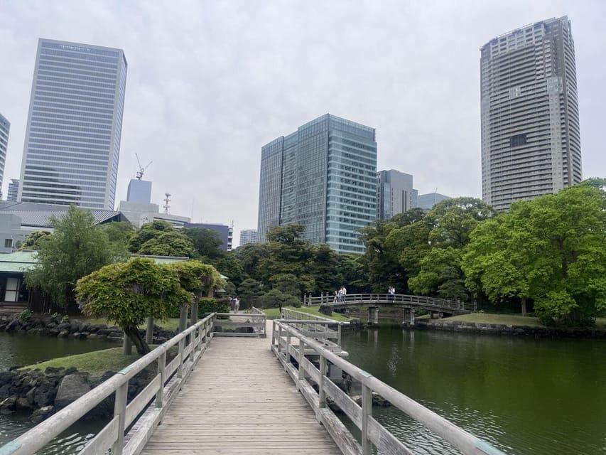 Tokyo Highlights Tour: Sumo, Sushi, Tea, and Tokyo Tower - Key points at a glance