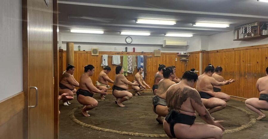 Tokyo Highlights Tour: Sumo, Sushi, Tea, and Tokyo Tower - Watching sumo practice at a Sumo Beya