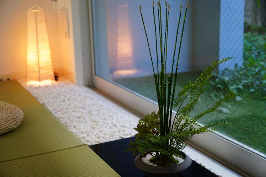Tokyo: Matcha and Kimono Experience - Tea, teaism, and the meaning behind the gestures
