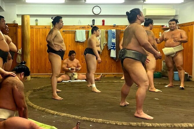 Tokyo Walking Tour : Sumo, Sushi, Tea, Temples and Tokyo Tower - Key Points at a Glance