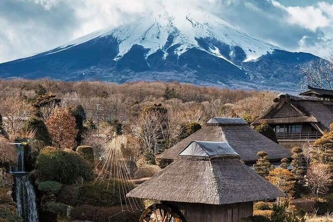 Tokyo Walking Tour : Sumo, Sushi, Tea, Temples and Tokyo Tower - The Guide Makes the Difference
