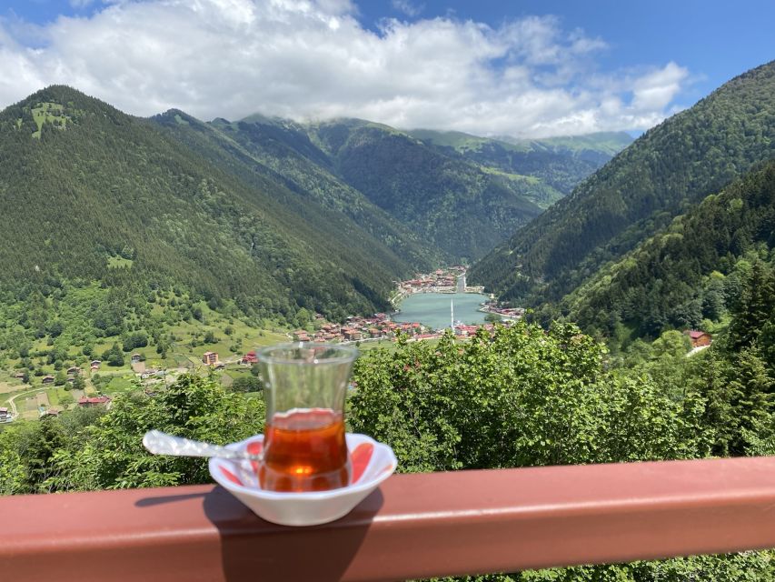 Trabzon: Uzungöl Group Tour, Explore The Nature & Taste Tea - Tea culture at İkıçay factory