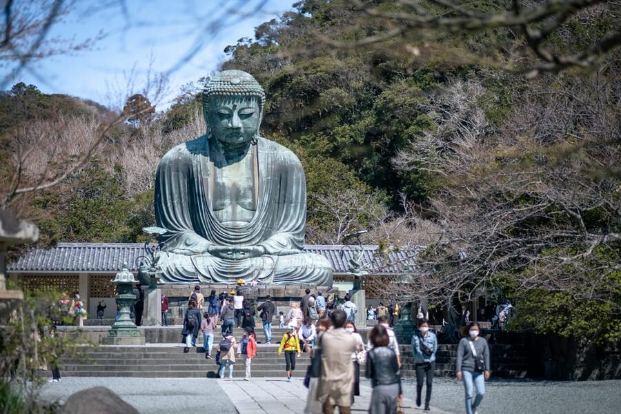 Trip to Kamakura & Enoshima: Shrines, Seaside, Temples &Tea - Hokokuji Bamboo Forest and the tea house