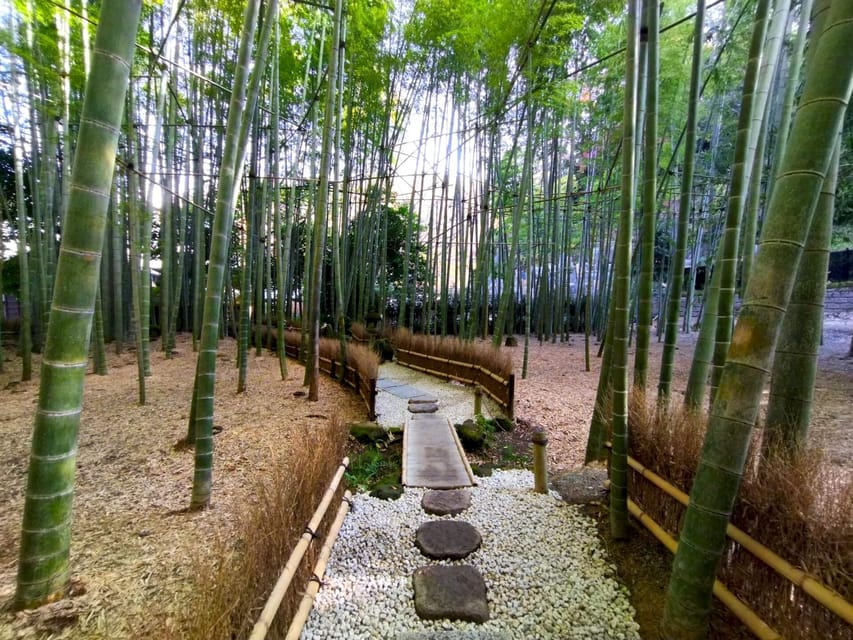 Trip to Kamakura & Enoshima: Shrines, Seaside, Temples &Tea - The Enoden ride sets the mood