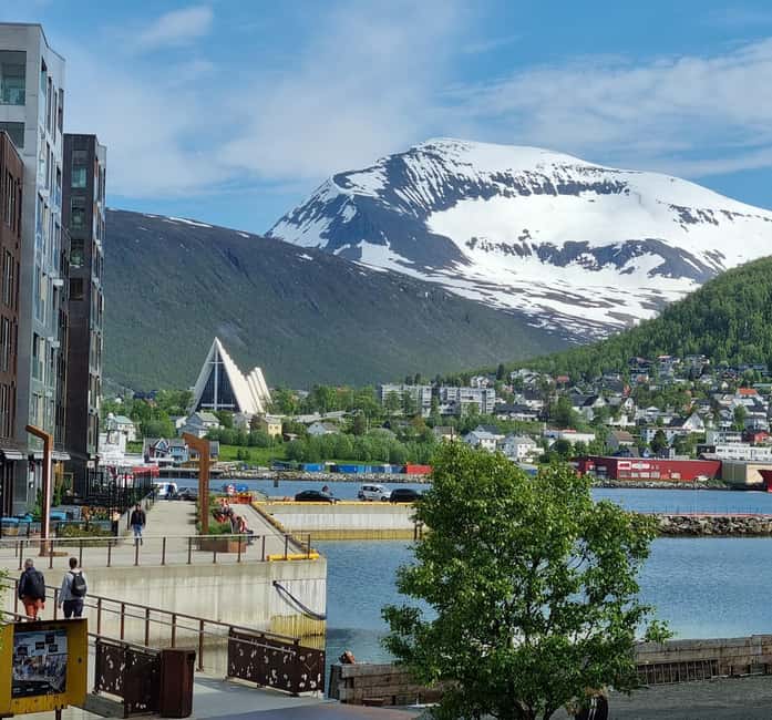 Tromsø Sweet Temptations Tour: Afternoon Tea & Other Sweets - Booking advice and final verdict