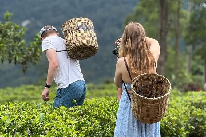 Tuk Tuk Nuwara Eliya Tea Falls Adventure - Key points before you book