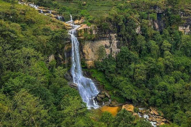 Tuk Tuk Nuwara Eliya Tea Falls Adventure - Four hours among the tea fields at Damro Labookellie