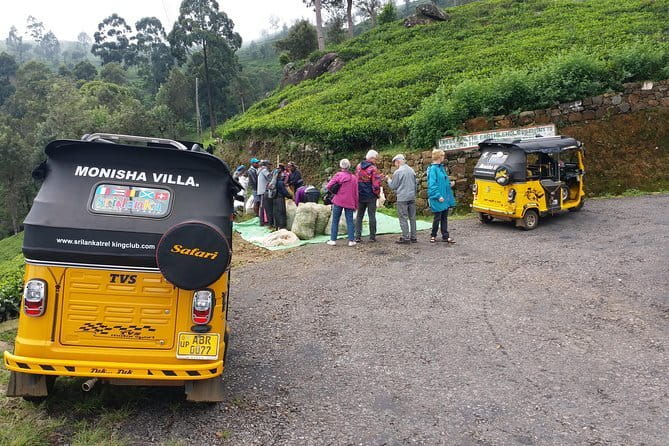Tuk Tuk safari and Picnic in The Tea Plantation from Ella,Haputale & Bandarawela - Why Lipton’s Seat makes a strong half-day outing