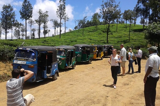 Tuk Tuk safari and Picnic in The Tea Plantation from Ella,Haputale & Bandarawela - The tuk tuk ride through Sri Lanka’s tea hills