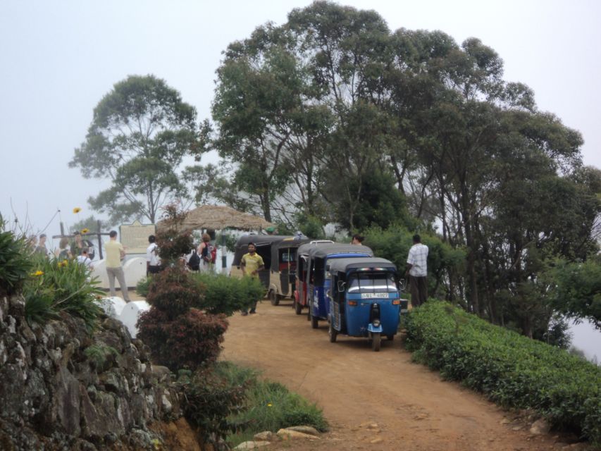 Tuk-Tuk Safari Liptons seat,Tea Fields Hike,TeaFactory Tour - Inside Dambatenne Tea Factory