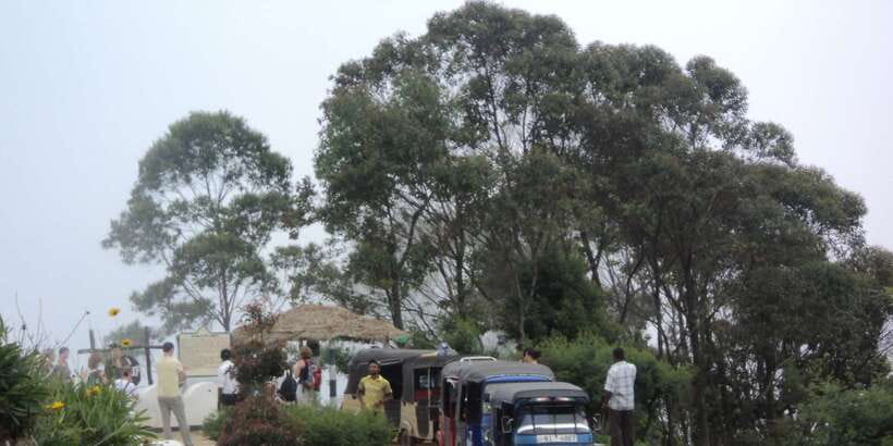 Tuk-Tuk Safari Liptons seat,Tea Fields Hike,TeaFactory Tour - Finishing in Haputale