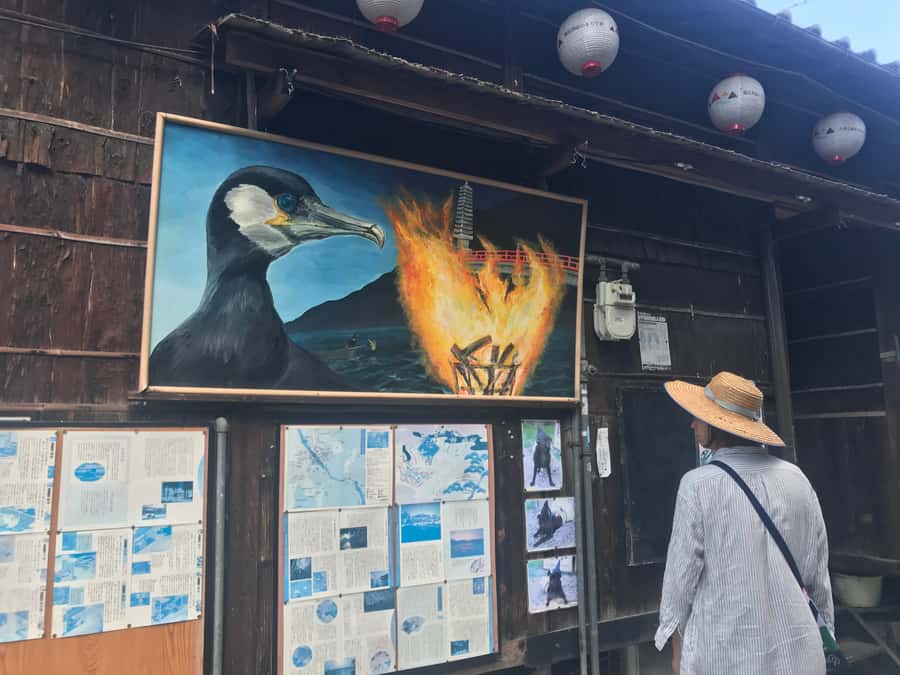 Uji: Green Tea Tour with Byodoin and Koshoji Temple Visits - Who will get the most from this four-hour tour