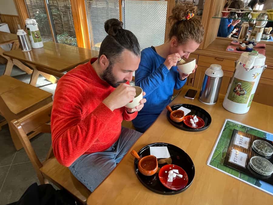 Uji: Green Tea Tour with Byodoin and Koshoji Temple Visits - A Gyokuro tasting that changes how you think about tea