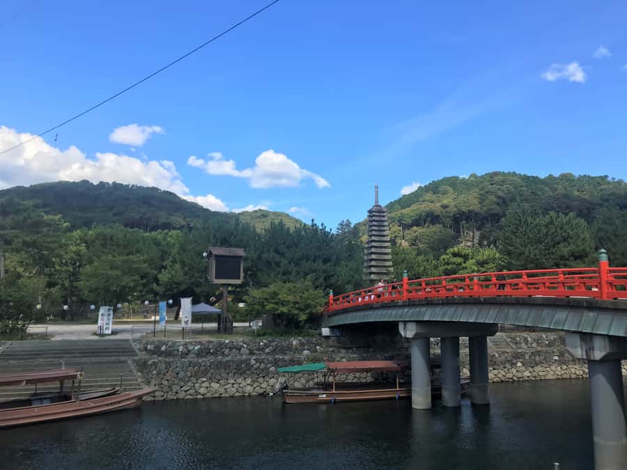 Uji: Green Tea Tour with Byodoin and Koshoji Temple Visits - Walking the Uji River toward Byodoin