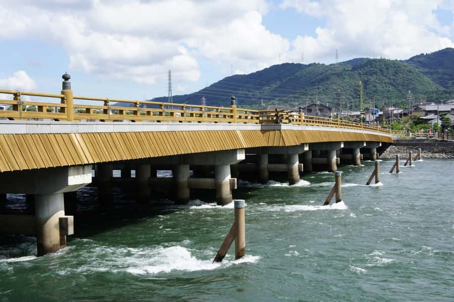 Uji: Green Tea Tour with Byodoin and Koshoji Temple Visits - Byodoin and the Phoenix Hall