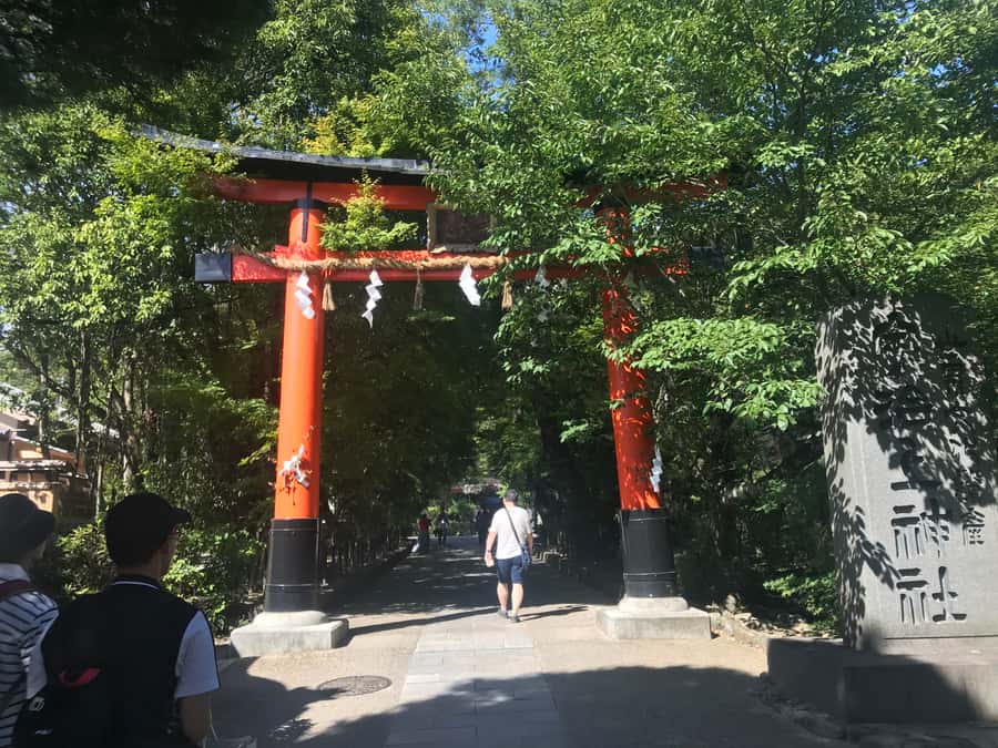 Uji: Green Tea Tour with Byodoin and Koshoji Temple Visits - What the guides add to the experience