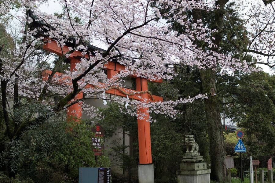 Uji: UNESCO Heritage & Tea Ceremony Walking Tour - Taihoan tea ceremony: calm, formal, and participatory