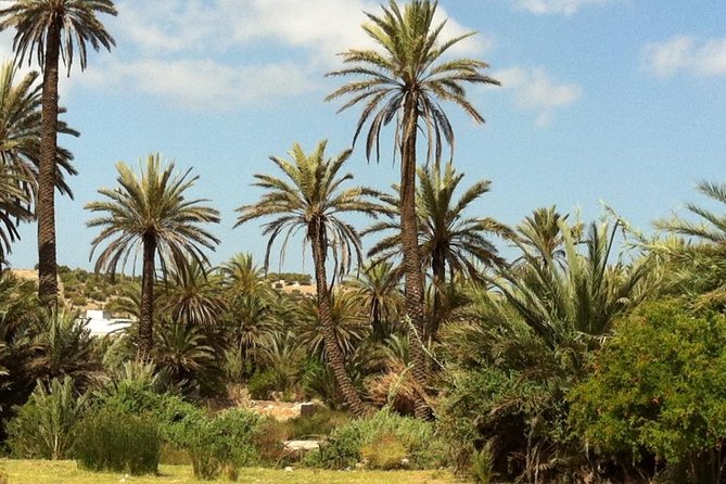Visit the Oasis & Tea at the basket maker. - Key points to know before booking