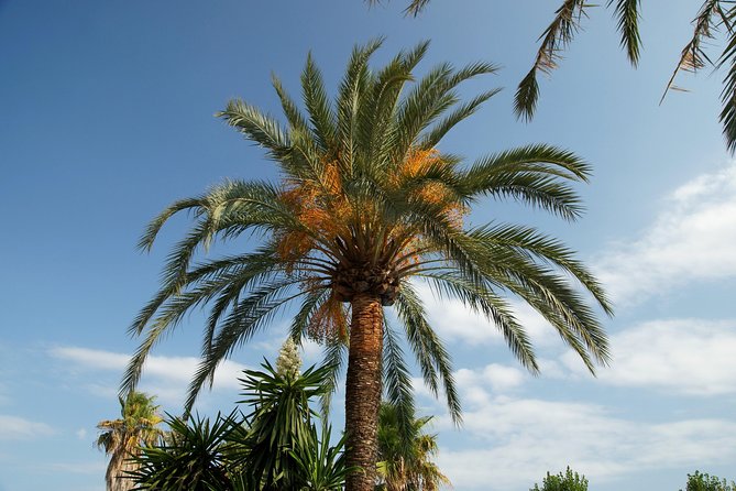 Visit the Oasis & Tea at the basket maker. - Walking to Sidi Bourahmoune’s mausoleum