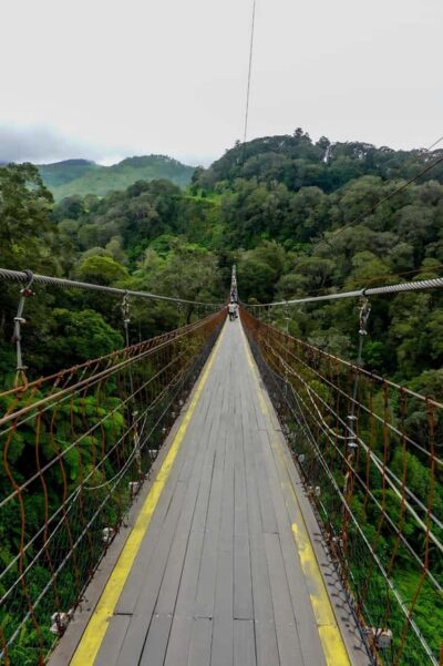 Volcano, Hot Spring, Mud Bath & Tea plantation all included
