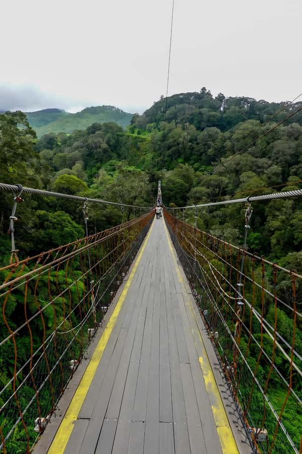 Volcano, Hot Spring, Mud Bath & Tea plantation all included - Starting from Bandung and heading south