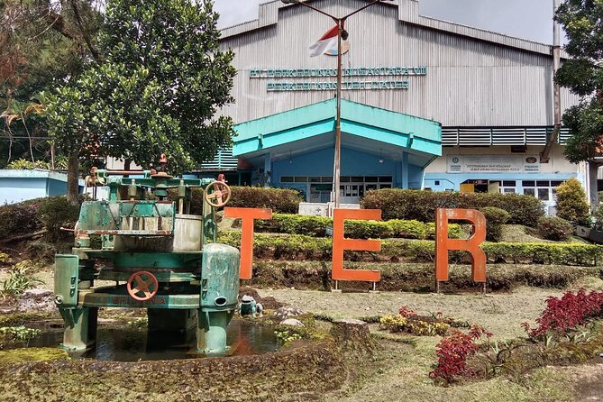 Volcano, Hot Spring, Tea Factory, rice fields and Coffee Tour - Rice fields and village life in Subang