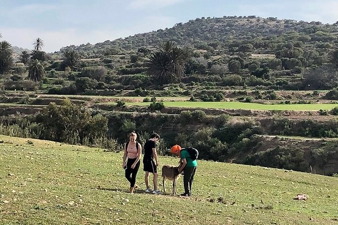 Walk to the cascade and marabout of Sidi Mbark & for a tea to Kaouki - Walking through the dunes toward Sidi Mbark