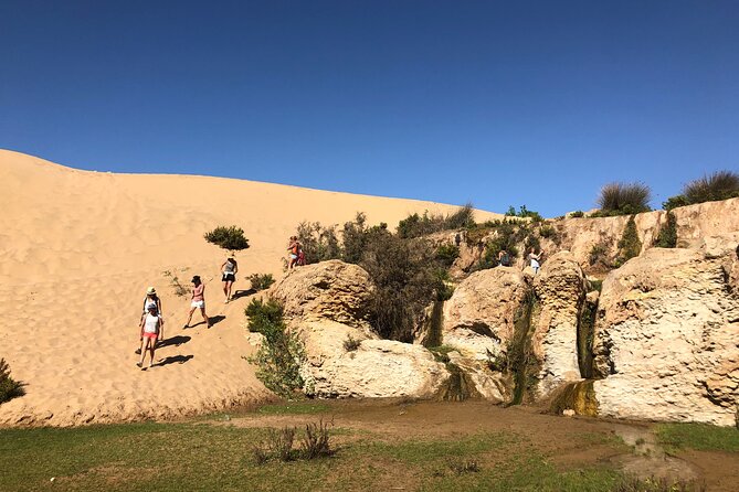 Walk to the cascade and marabout of Sidi Mbark & for a tea to Kaouki - A Berber tea ceremony inside a local home