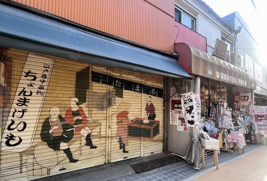 Walking Tour: Yanaka,Nezu& Sendagi: Tea Ceremony & Old Tokyo - Why Yanesen feels different from central Tokyo