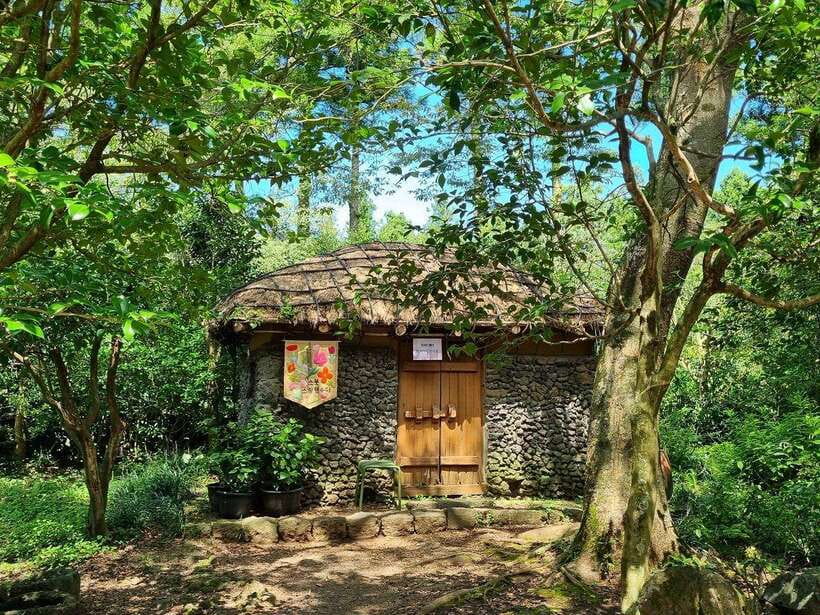 West & South Jeju: Hallasan Trail, Waterfall, Tea Field Tour - Cheonjeyeon Waterfalls and Seonimgyo Bridge