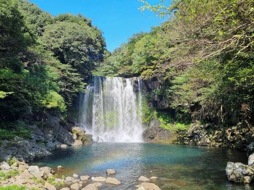 West & South Jeju: Hallasan Trail, Waterfall, Tea Field Tour - Camellia Hill: the most colorful stop
