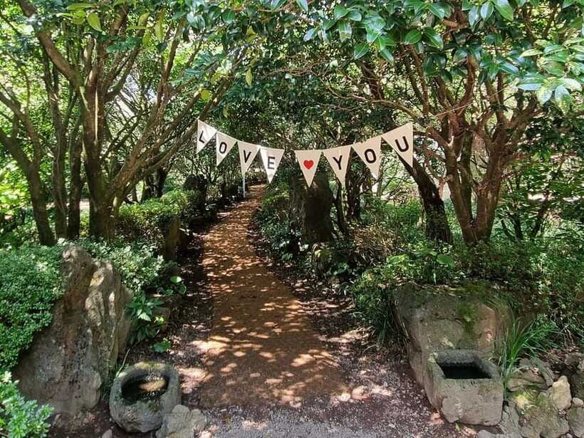 West & South Jeju: Hallasan Trail, Waterfall, Tea Field Tour - Guides, vehicles, and the small-group feel