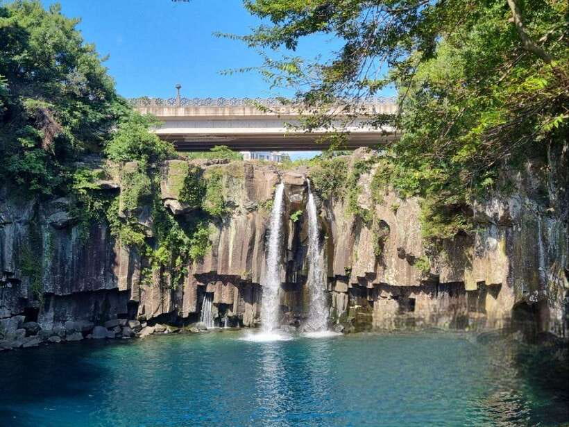 West & South Jeju: Hallasan Trail, Waterfall, Tea Field Tour - Eorimok Trail: an easy introduction to Hallasan