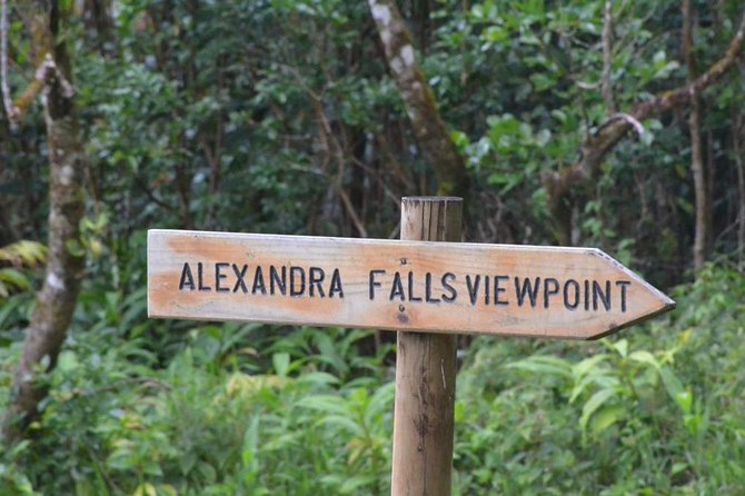 Wild South: Full-Day tour incl Rhumerie St Aubin, Bois cheri Tea factory & Lunch - Grand Bassin brings religion into the route