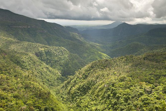 Wild South: Full-Day tour incl Rhumerie St Aubin, Bois cheri Tea factory & Lunch - Alexandra Falls and the southern highlands