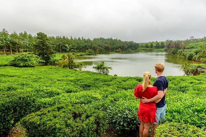Wild South: Full-Day tour incl Rhumerie St Aubin, Bois cheri Tea factory & Lunch - Mare aux Vacoas offers a quiet reservoir pause