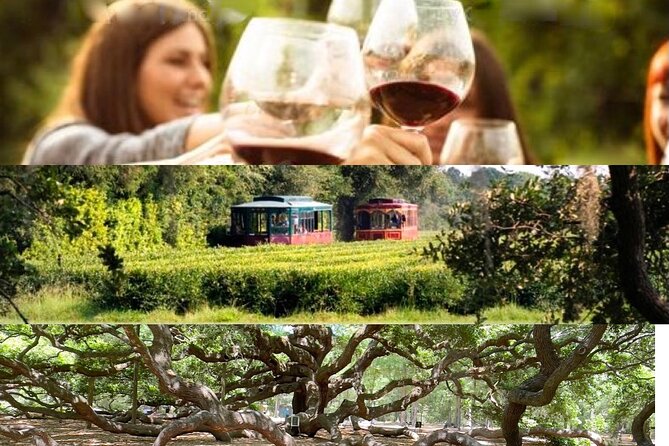Wine Sippin'-Tea Drinkin'-Tree Huggin' Lowcountry Sightseeing - Key points worth knowing