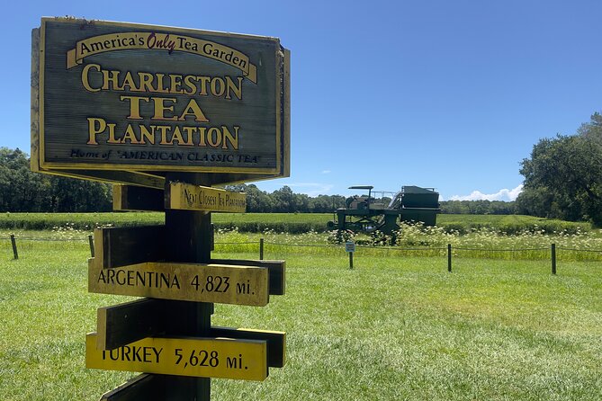 Wine Sippin'-Tea Drinkin'-Tree Huggin' Lowcountry Sightseeing - Why the small van is worth paying for