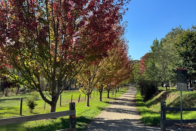 Yarra Valley Foodie Tour, Devonshire Tea, Cheese and Chocolate - What the four-hour timing really means