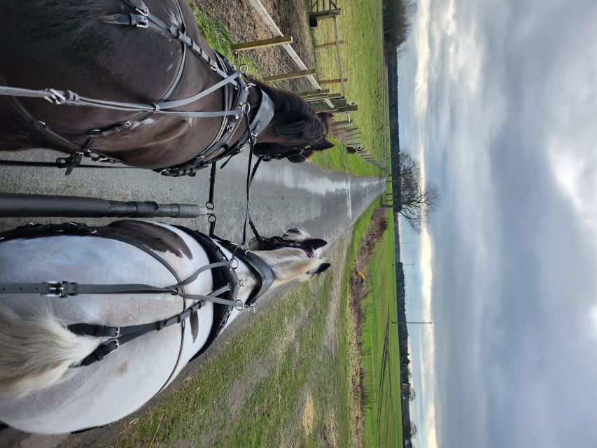 York: Horse Drawn Carriage ride & Cream Tea - The one-hour carriage route